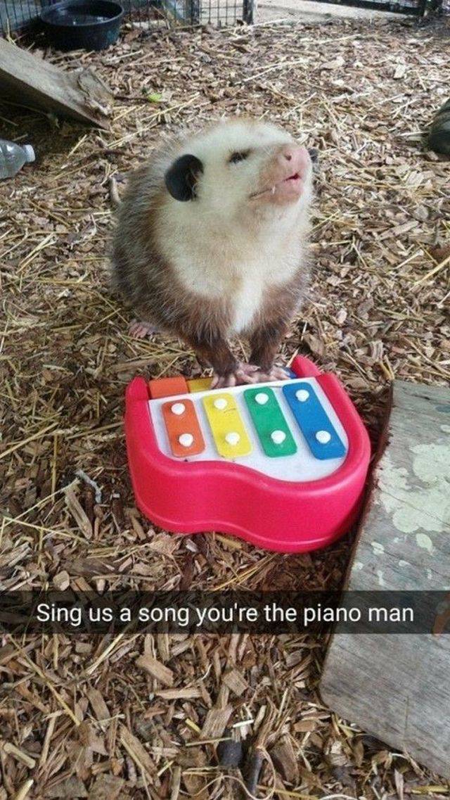Daily Picdump
