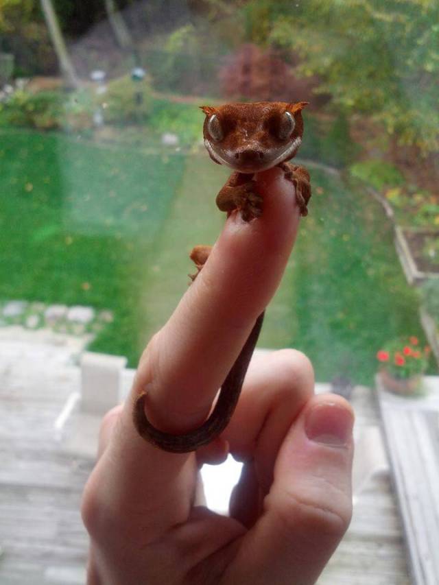Daily Picdump