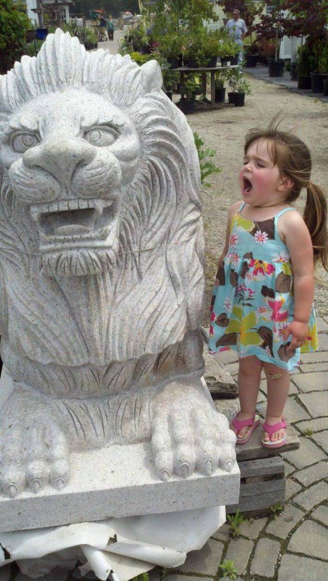 Daily Picdump