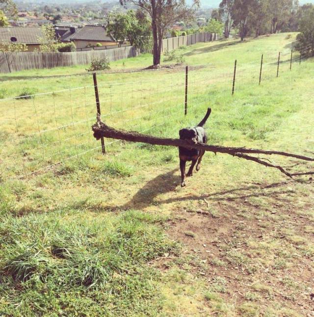 daily picdump 104 pics 1.html - 104 HD Photos | Premium Gallery 2017