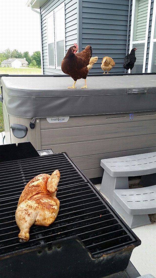 daily picdump 104 pics 1.html - 104 HD Photos | Premium Gallery 2017