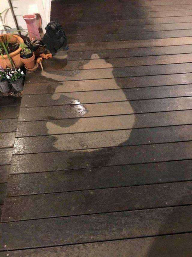 daily picdump 104 pics 1.html - 104 HD Photos | Premium Gallery 2017