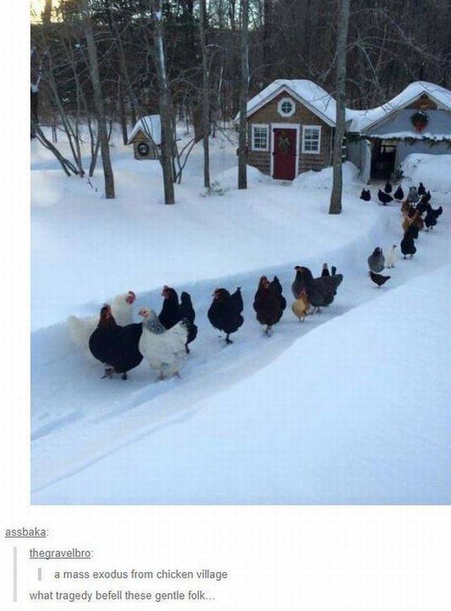 daily picdump 104 pics 1.html - 104 HD Photos | Premium Gallery 2017