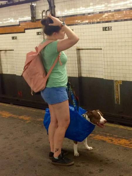 morning picdump 50 pics 4.html - 50 HD Photos | Premium Gallery 2017