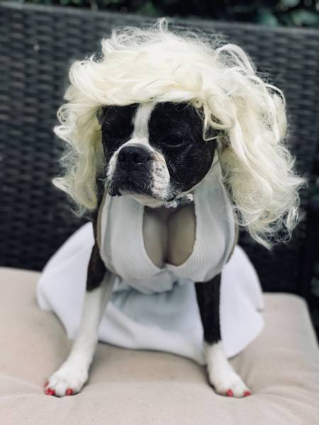 morning picdump 50 pics 4.html - 50 HD Photos | Premium Gallery 2017