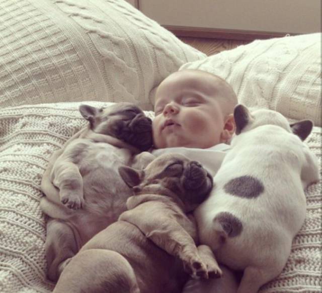 morning picdump 50 pics 4.html - 50 HD Photos | Premium Gallery 2017