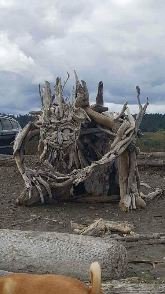 Morning Picdump