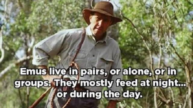 Australia: Yes Or No? Hard Decision!