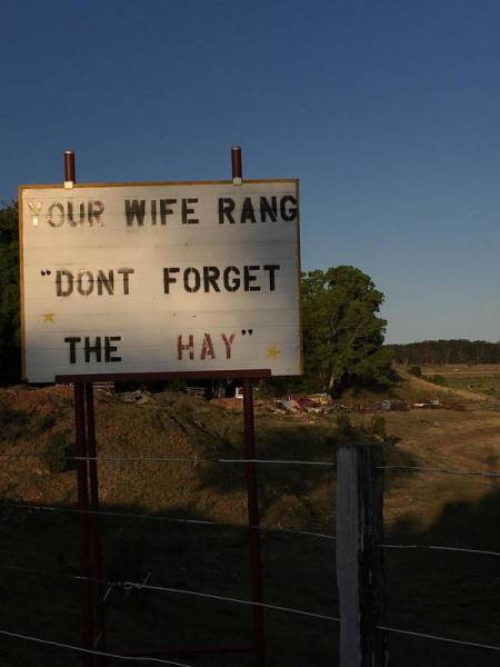 Australia: Yes Or No? Hard Decision!