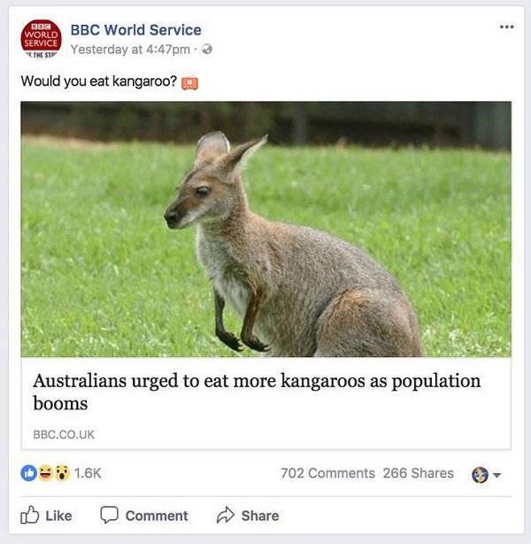 Australia: Yes Or No? Hard Decision!