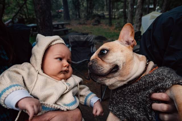 daily picdump 95 pics 2.html - 95 HD Photos | Premium Gallery 2017