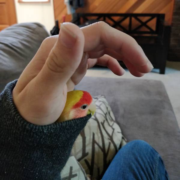 daily picdump 95 pics 2.html - 95 HD Photos | Premium Gallery 2017