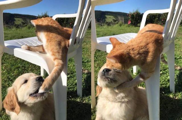 daily picdump 95 pics 2.html - 95 HD Photos | Premium Gallery 2017