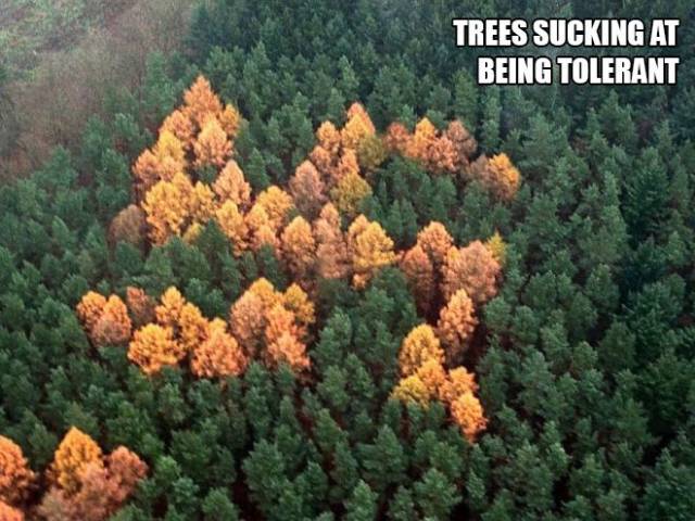 daily picdump 95 pics 2.html - 95 HD Photos | Premium Gallery 2017