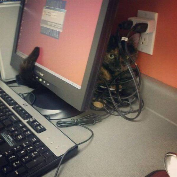 daily picdump 95 pics 2.html - 95 HD Photos | Premium Gallery 2017