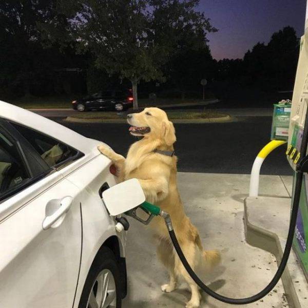 daily picdump 95 pics 2.html - 95 HD Photos | Premium Gallery 2017