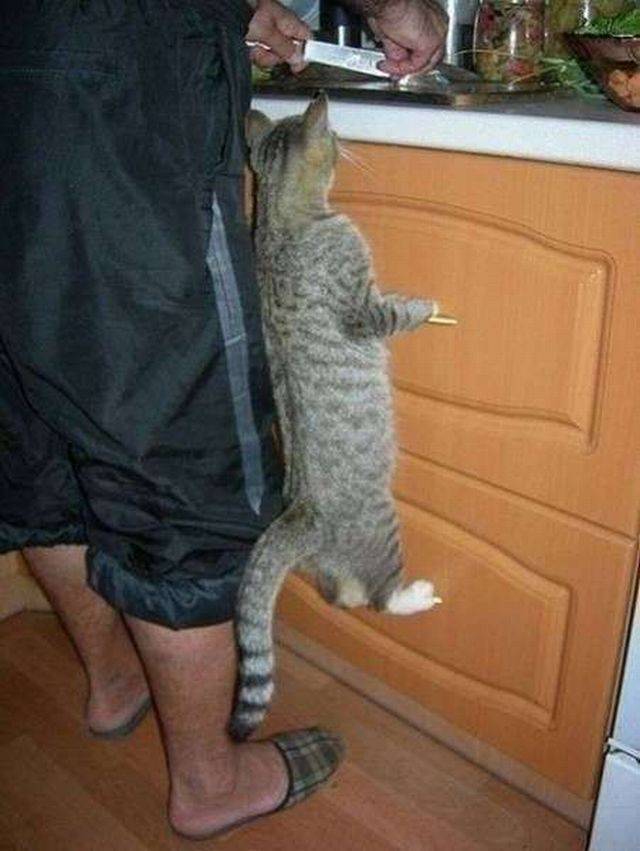 daily picdump 95 pics 2.html - 95 HD Photos | Premium Gallery 2017