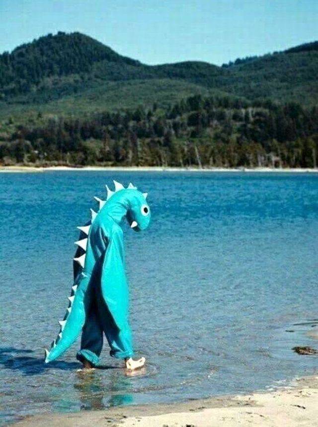 daily picdump 95 pics 2.html - 95 HD Photos | Premium Gallery 2017