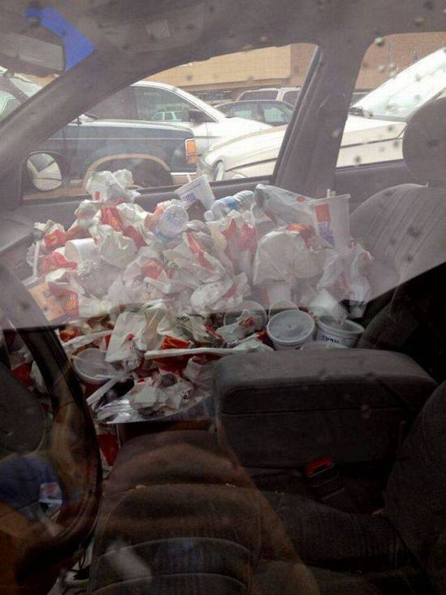 daily picdump 95 pics 2.html - 95 HD Photos | Premium Gallery 2017