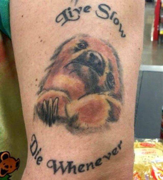 daily picdump 95 pics 2.html - 95 HD Photos | Premium Gallery 2017