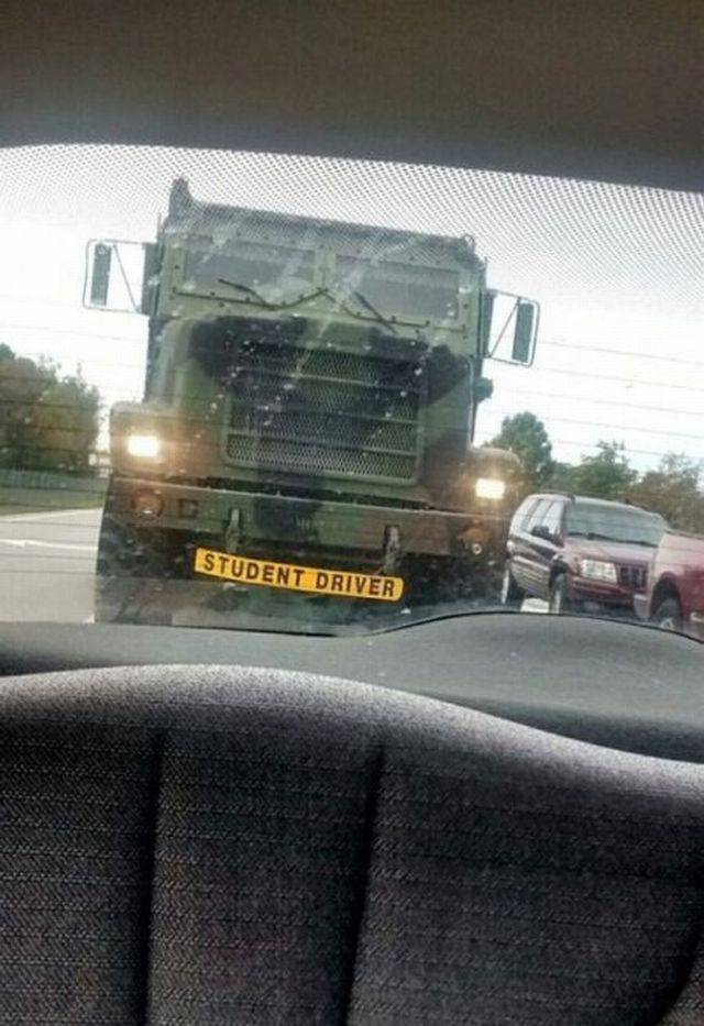 daily picdump 95 pics 2.html - 95 HD Photos | Premium Gallery 2017