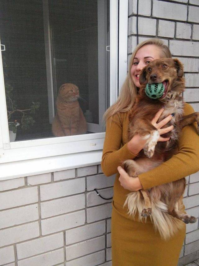 daily picdump 95 pics 2.html - 95 HD Photos | Premium Gallery 2017