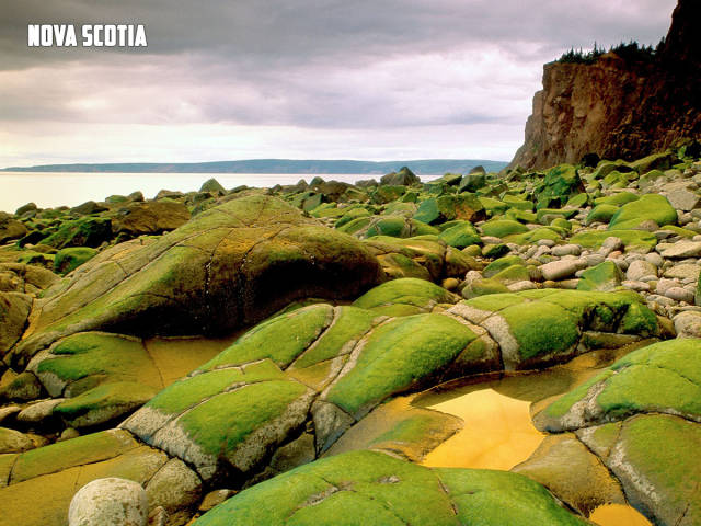 morning picdump 51 pics 2.html - 51 HD Photos | Premium Gallery 2017