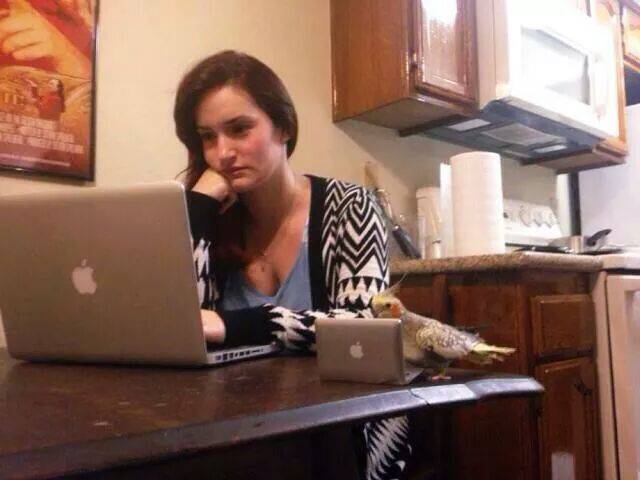 morning picdump 51 pics 2.html - 51 HD Photos | Premium Gallery 2017