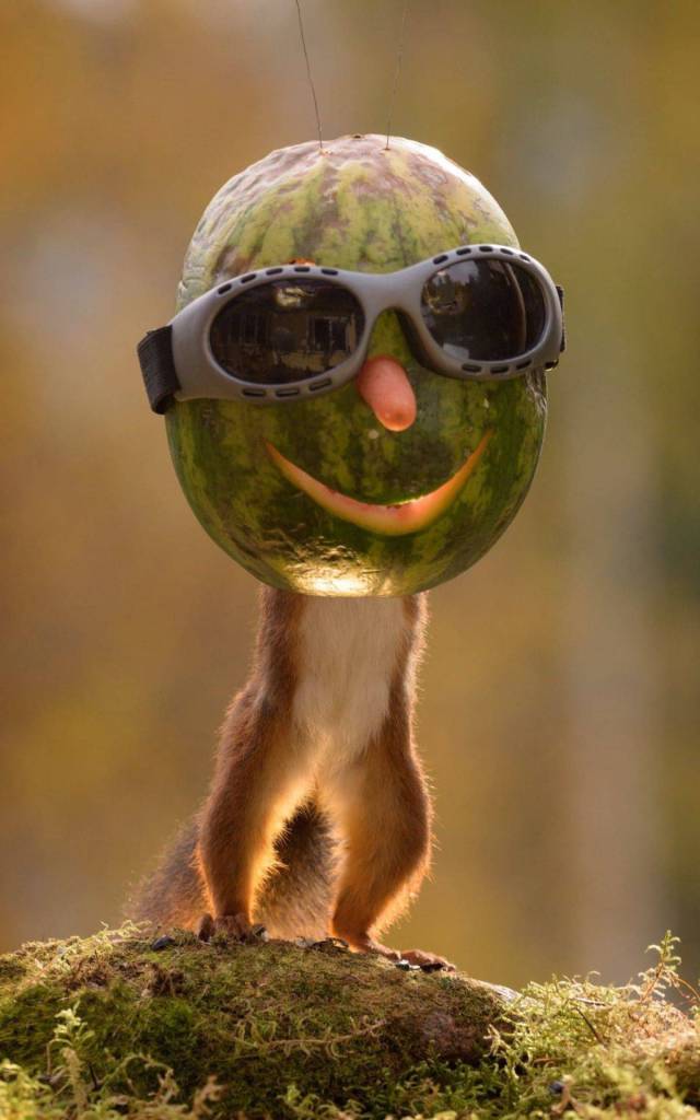 daily picdump 97 pics 2.html - 97 HD Photos | Premium Gallery 2017