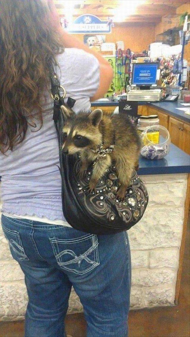 daily picdump 97 pics 2.html - 97 HD Photos | Premium Gallery 2017