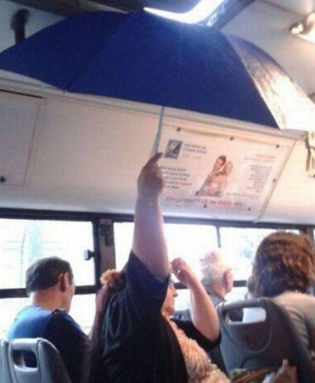 daily picdump 97 pics 2.html - 97 HD Photos | Premium Gallery 2017