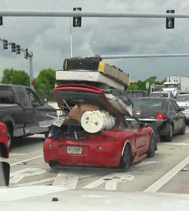 daily picdump 97 pics 2.html - 97 HD Photos | Premium Gallery 2017