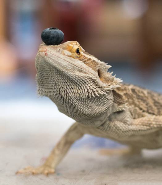 morning picdump 50 pics 5.html - 50 HD Photos | Premium Gallery 2017