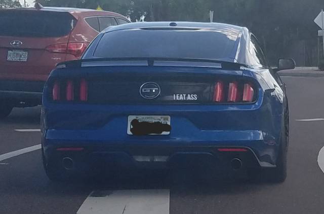 morning picdump 50 pics 5.html - 50 HD Photos | Premium Gallery 2017