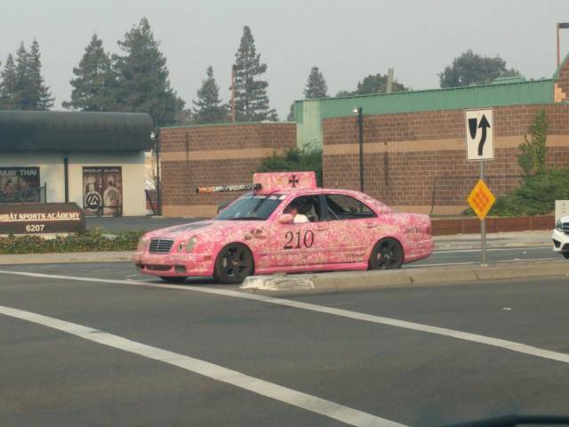 morning picdump 50 pics 5.html - 50 HD Photos | Premium Gallery 2017