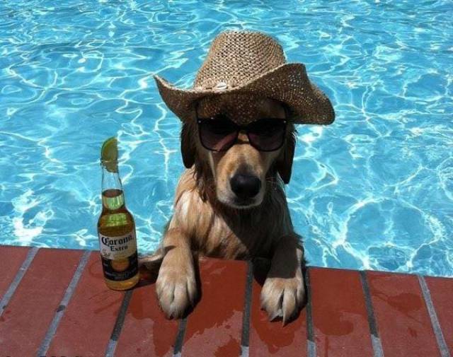 morning picdump 50 pics 5.html - 50 HD Photos | Premium Gallery 2017