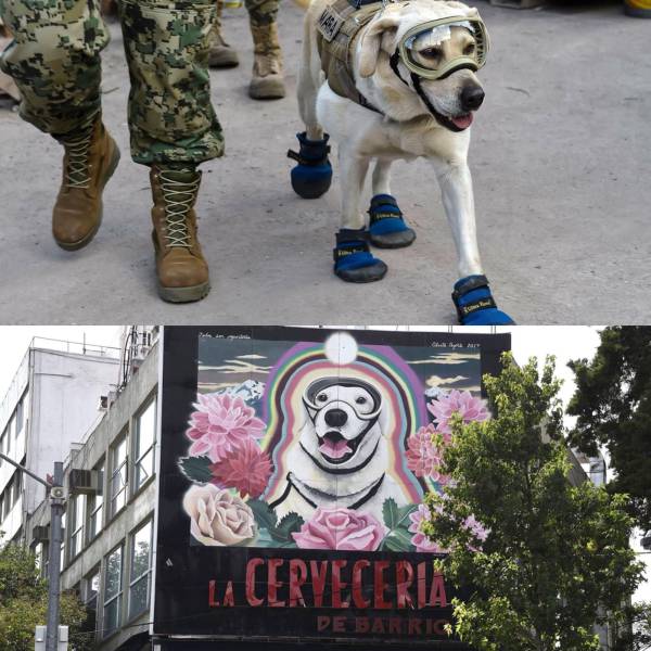 daily picdump 92 pics 27.html - 92 HD Photos | Premium Gallery 2017