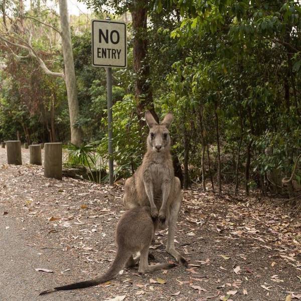 daily picdump 92 pics 27.html - 92 HD Photos | Premium Gallery 2017