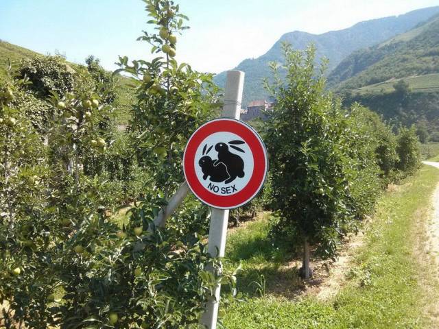 daily picdump 92 pics 27.html - 92 HD Photos | Premium Gallery 2017