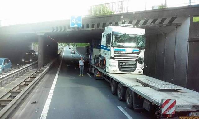 daily picdump 92 pics 27.html - 92 HD Photos | Premium Gallery 2017