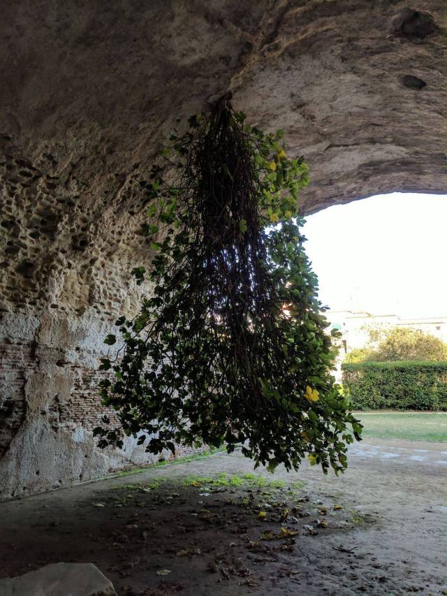 daily picdump 92 pics 27.html - 92 HD Photos | Premium Gallery 2017