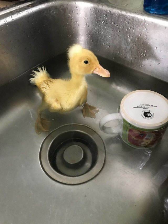 daily picdump 92 pics 27.html - 92 HD Photos | Premium Gallery 2017