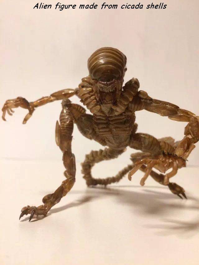 daily picdump 92 pics 27.html - 92 HD Photos | Premium Gallery 2017