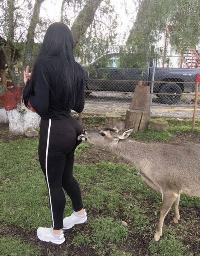 grownup corner 60 pics 3 gifs 2.html - 60 HD GIF | Premium Gallery 2017