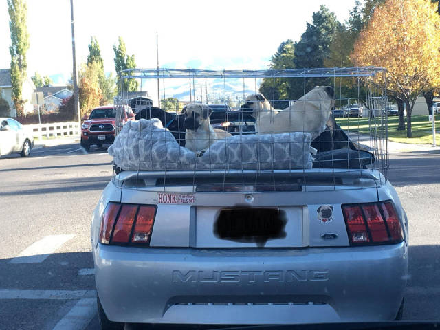 morning picdump 50 pics 22.html - 50 HD Photos | Premium Gallery 2017