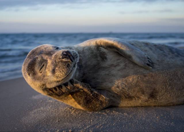 morning picdump 50 pics 22.html - 50 HD Photos | Premium Gallery 2017