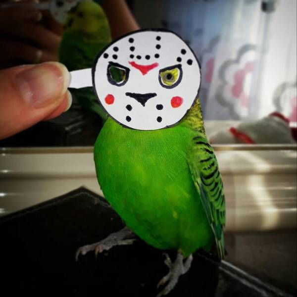 Daily Picdump [WEEKEND EDITION]