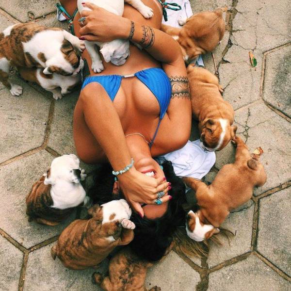 daily picdump weekend edition 68 pics 4.html - 68 HD Photos | Premium Gallery 2017