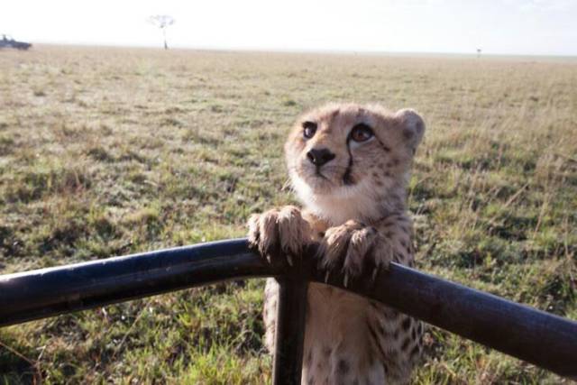 daily picdump weekend edition 68 pics 4.html - 68 HD Photos | Premium Gallery 2017