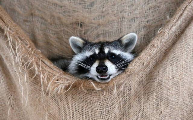 daily picdump weekend edition 68 pics 4.html - 68 HD Photos | Premium Gallery 2017